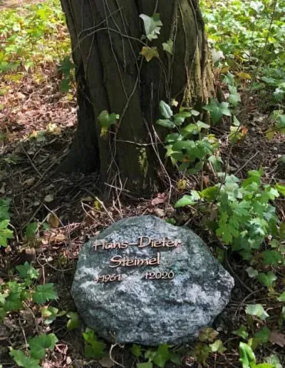 Findling als Grabmal für ein Baumgrab – Beispiel 5